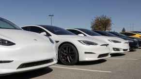 A line of white Tesla EVs parked in right front angle view in parking spots