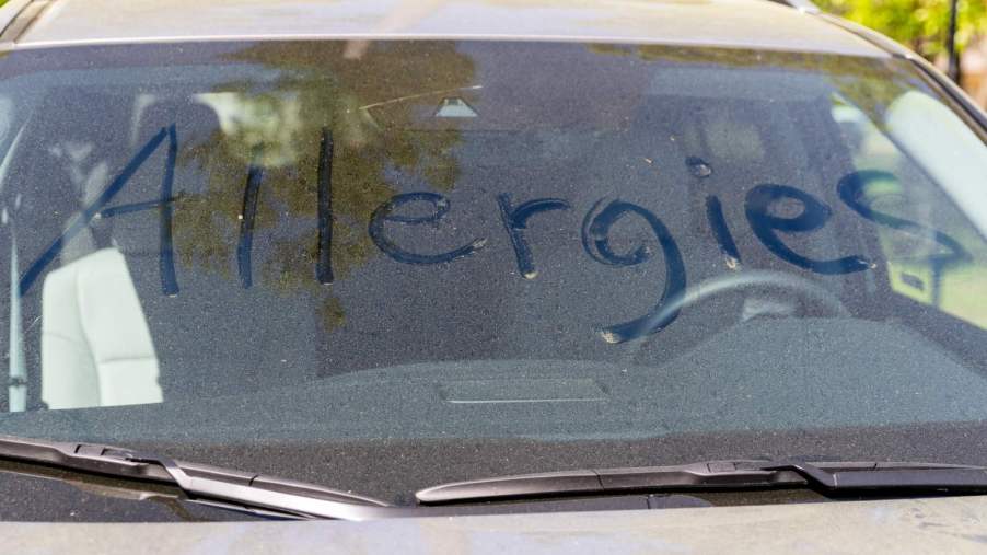 Many wonder if pollen on cars can cause damage to the point of needing a paint repair job from an auto bodyshop.