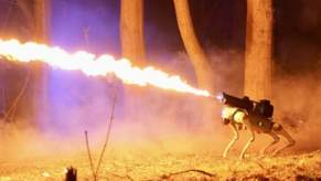 The Thermonator flamethrower robot dog shoots a stream of flame up to 30 feet.