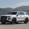 The 2024 Hyundai Palisade near a scenic view