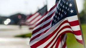 Row of American flags on a lawn.