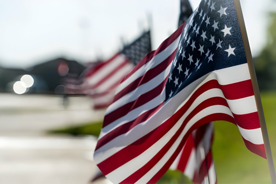 Row of American flags on a lawn.