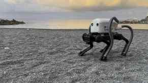 VERO, the vacuum cleaner equipped robot picks up cigarette butts on a beach.