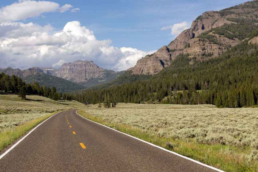 Road in Yellowstone National Park with mountains and trees in midground if you have a remote car breakdown you should have food and water in your car