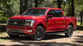 The 2024 Ford F-150 in the woods