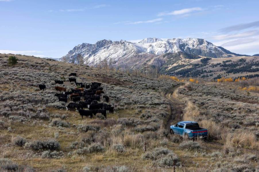 A Rivian R1T, a truck with an IIHS Top Safety Pick + rating, climbs a hill.