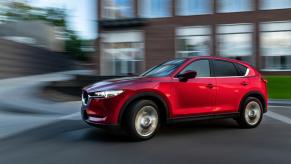 A Mazda CX-5 is one of the SUVs that a funny video depicting roadkill probabilities would feature.