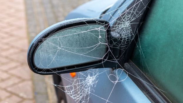 A parked car shows spider webs belonging to a spider that may give some drivers a reason to resort to jumping from a car.