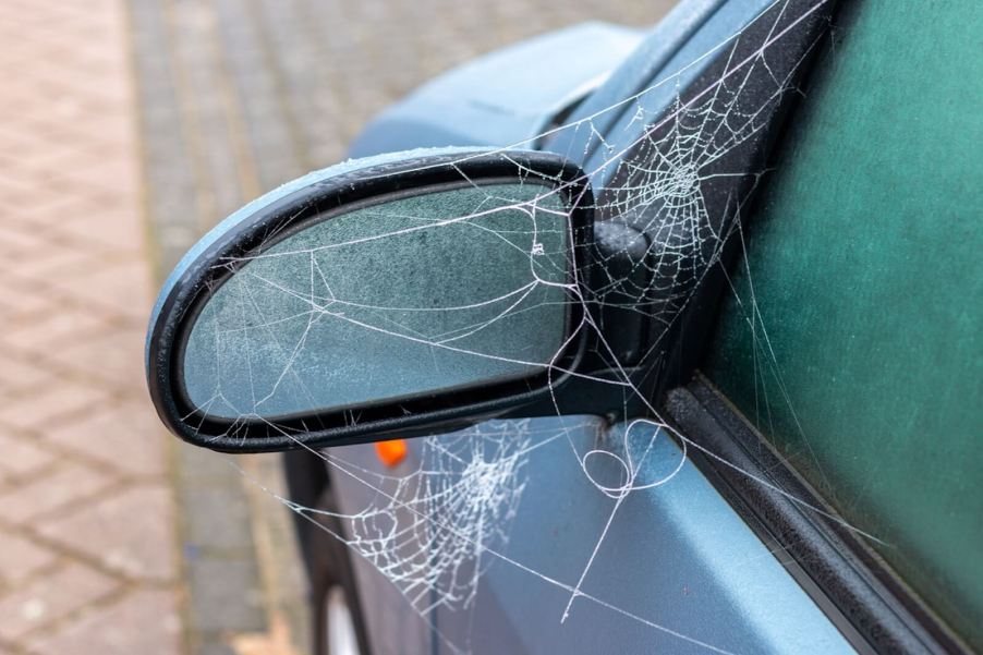 A parked car shows spider webs belonging to a spider that may give some drivers a reason to resort to jumping from a car.