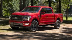 The 2024 Ford F-150 Hybrid off-roading in the woods