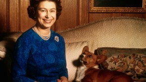 Queen Elizabeth II sitting with a corgi